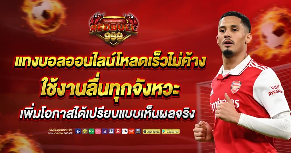 Rbull999 บทความ 1